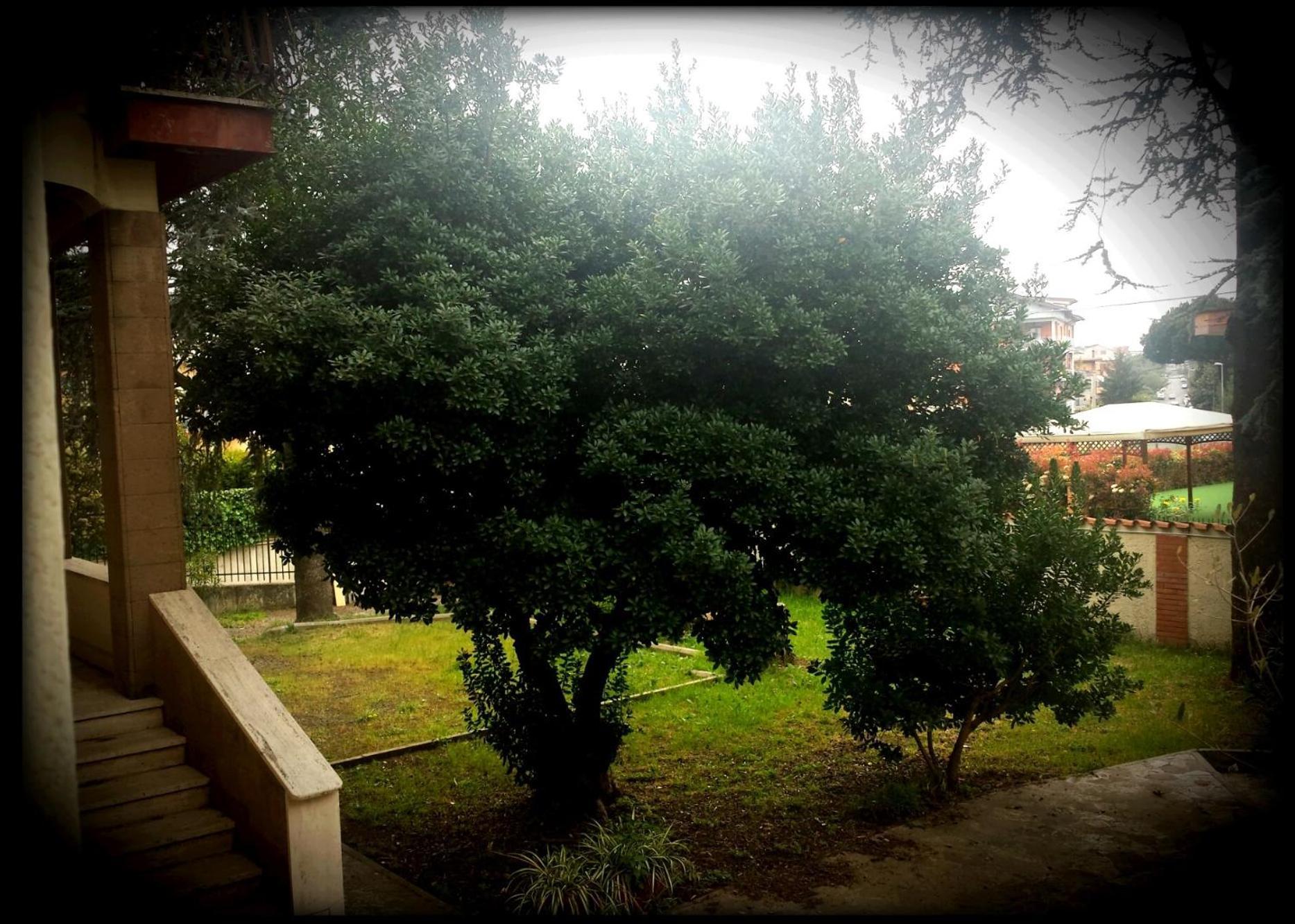 La Casa Degli Oleandri *